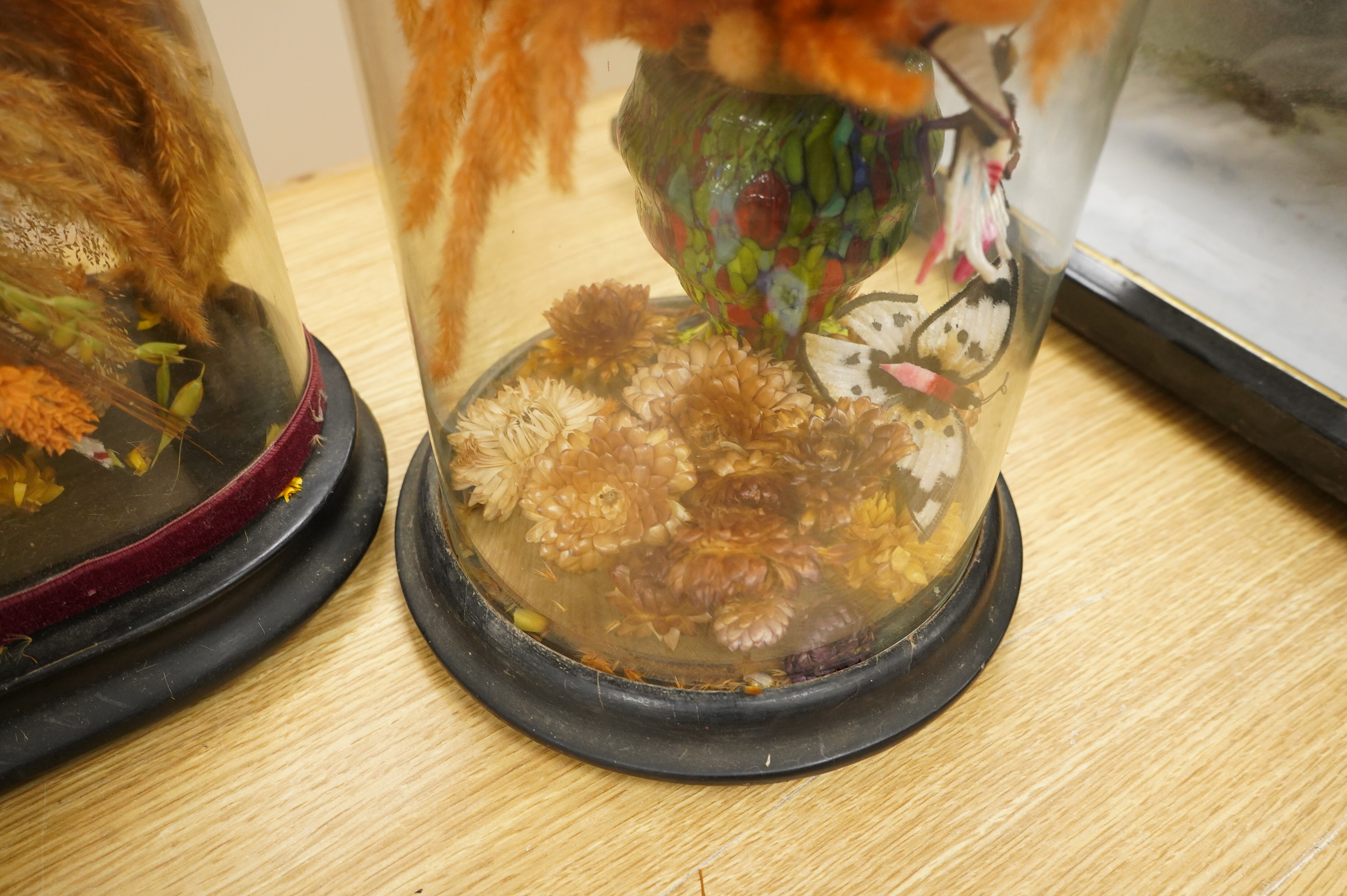 Two Victorian fauna displays under domes with ebonised bases, containing dried grasses and flowerheads, together with fabric butterflies, tallest 46cm, both af